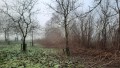 IMG-20211211-WA0003-Gemiddeld