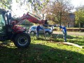 IMG-20221106-WA0013-Gemiddeld