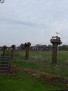 IMG-20221106-WA0067-Gemiddeld